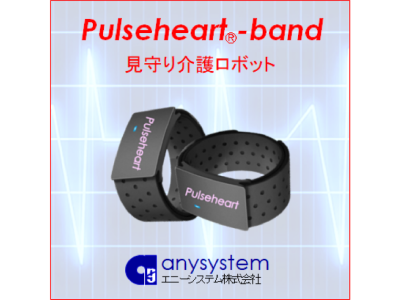 エニーシステム株式会社